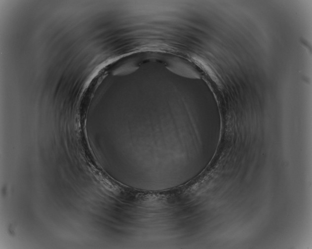 X0000091860923200709191113