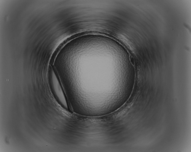 X0000091860924200709191113