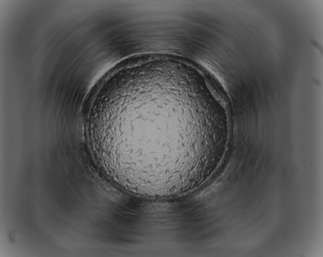 X0000091860925200709191113