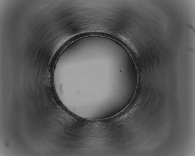 X0000091860926200709191113