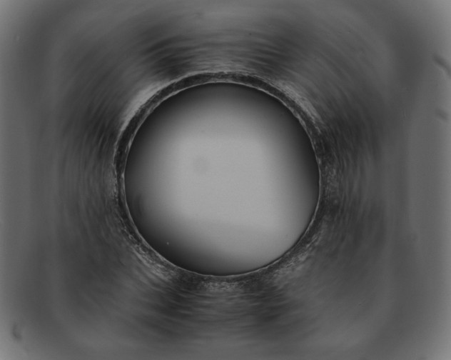 X0000091860927200709191113