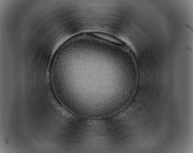 X0000091860928200709191113