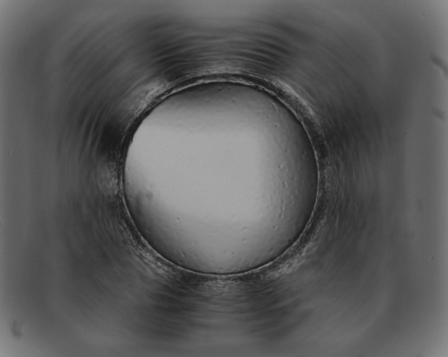 X0000091860929200709191113