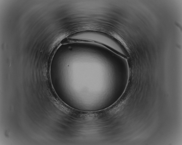 X0000091860930200709191113