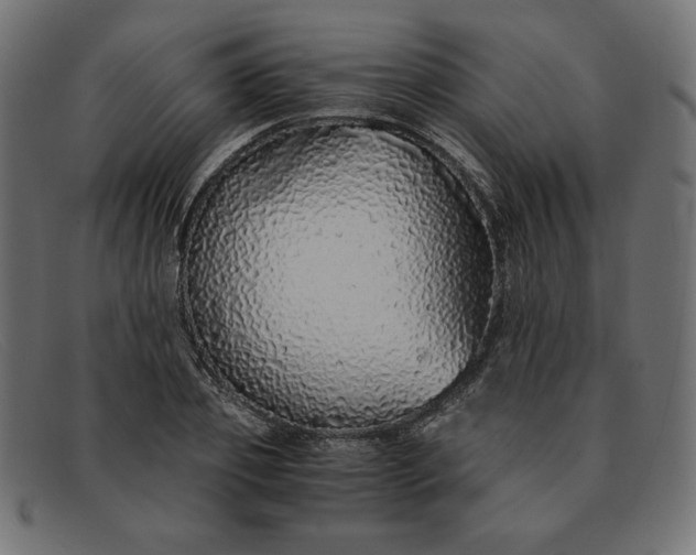 X0000091860933200709191113