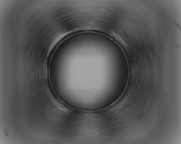 X0000091860934200709191113