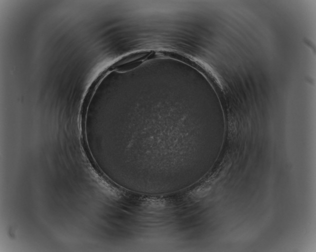 X0000091860935200709191113