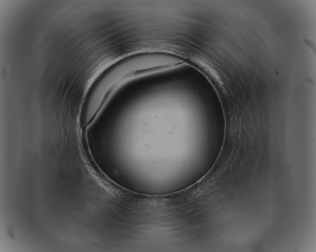 X0000091860936200709191113