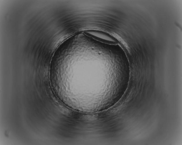 X0000091860937200709191113