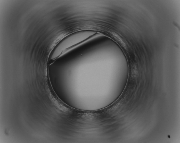 X0000091860938200709191113