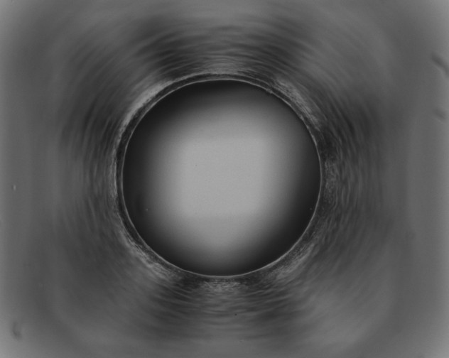 X0000091860939200709191113