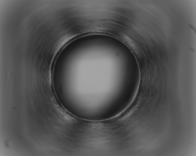 X0000091860940200709191113