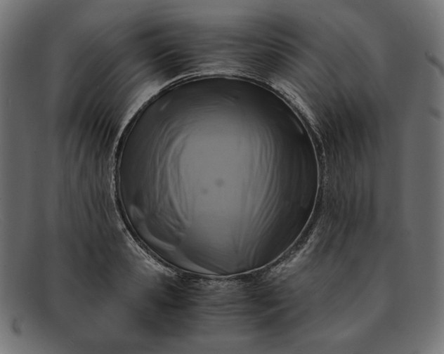 X0000091860941200709191113