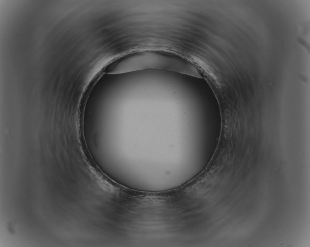 X0000091860942200709191113