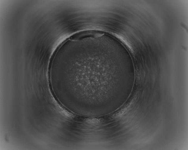 X0000091860943200709191113