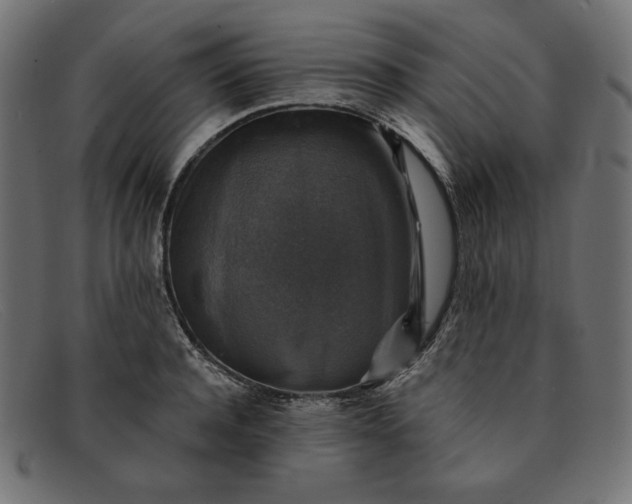 X0000091860944200709191113