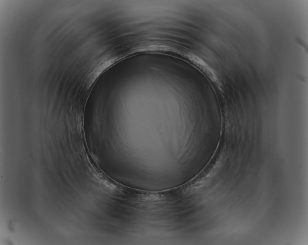 X0000091860945200709191113