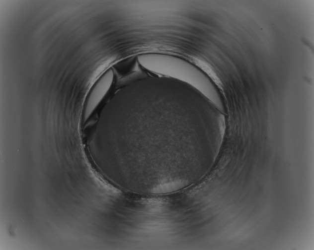 X0000091860946200709191113