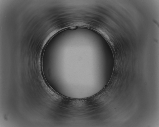 X0000091860947200709191113