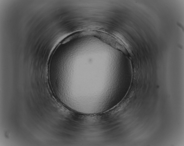 X0000091860948200709191113