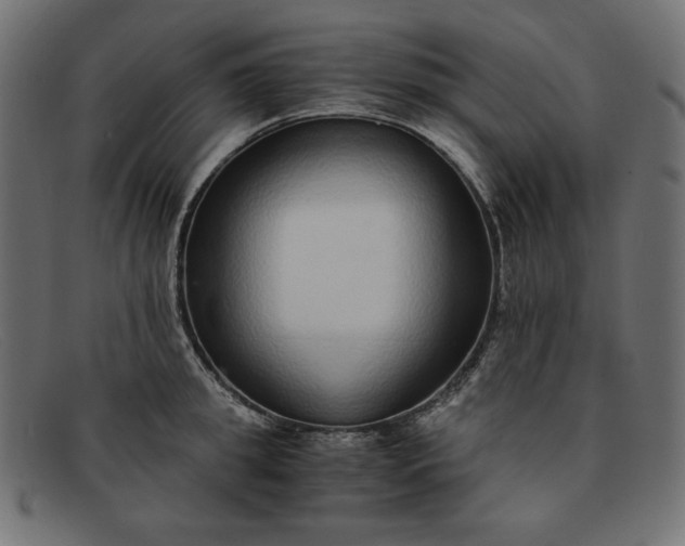 X0000091860949200709191113