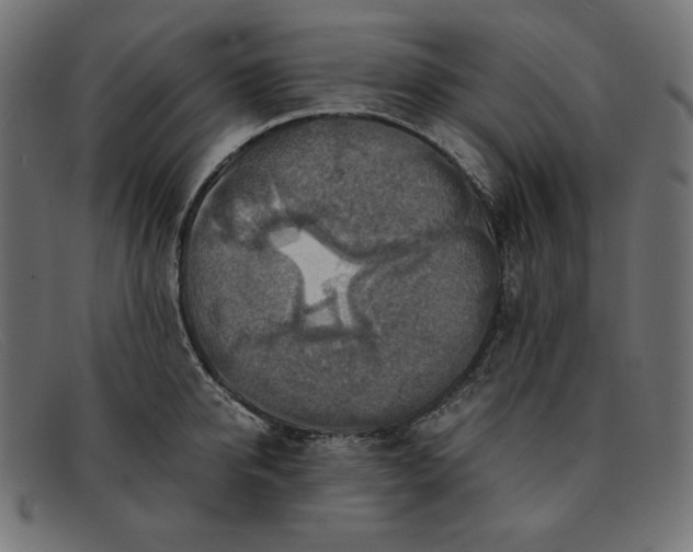 X0000091860950200709191113