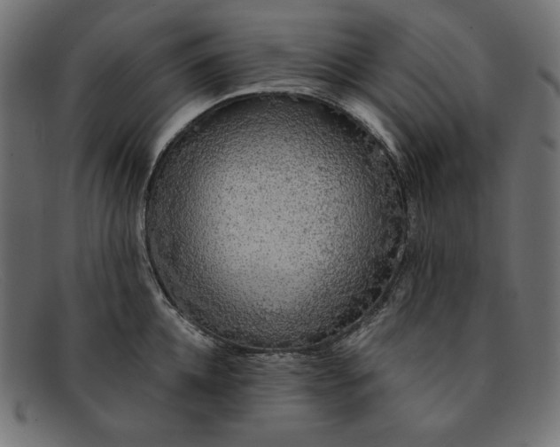 X0000091860952200709191113