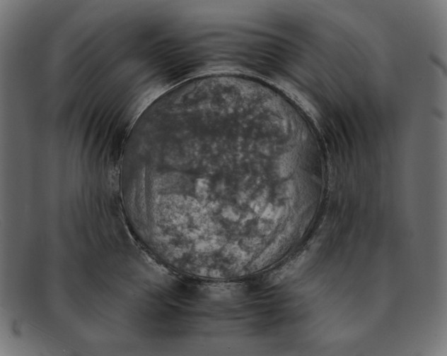 X0000091860953200709191113