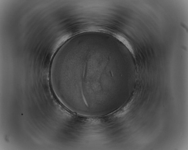 X0000091860954200709191113