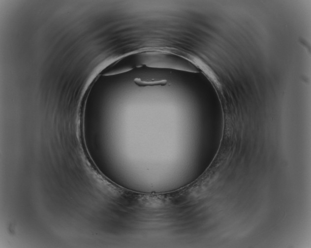 X0000091860955200709191113