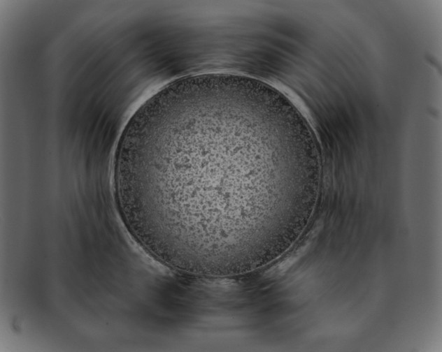 X0000091860957200709191113