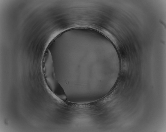 X0000091860958200709191113