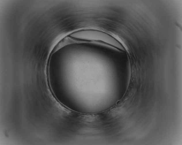 X0000091860959200709191113