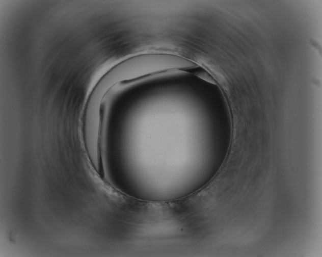 X0000091860960200709191113