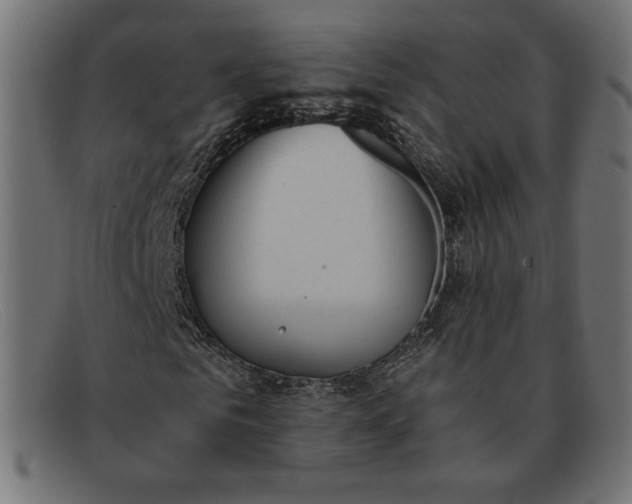 X0000091860961200709191113