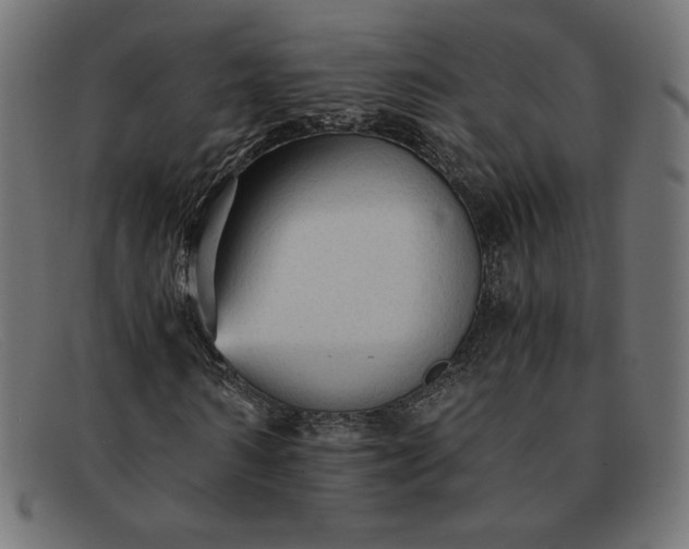 X0000091860962200709191113