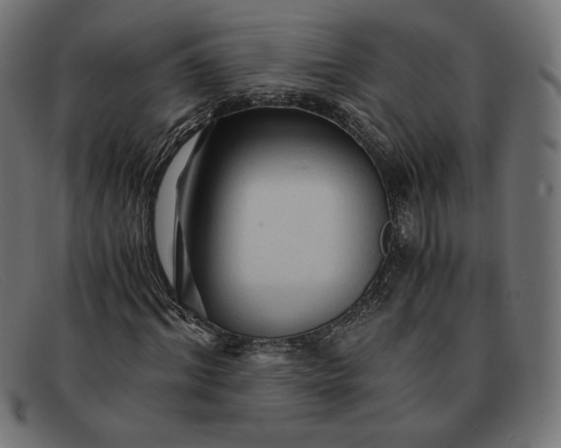 X0000091860964200709191113