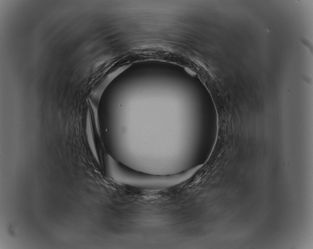 X0000091860965200709191113