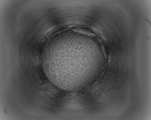 X0000091860966200709191113