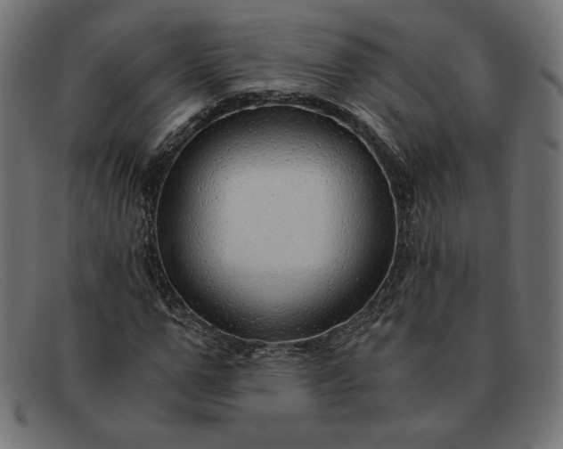 X0000091860967200709191113