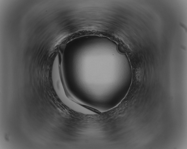 X0000091860968200709191113