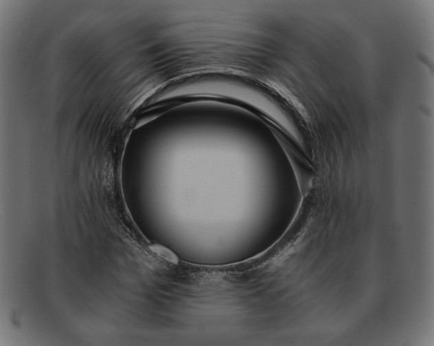 X0000091860969200709191113