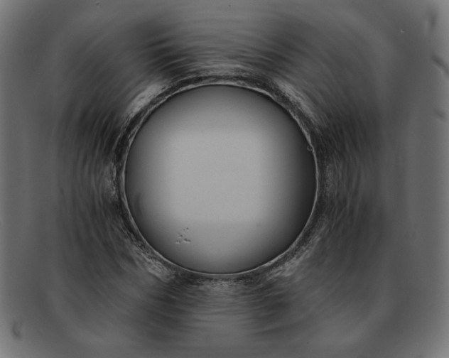 X0000091860970200709191113