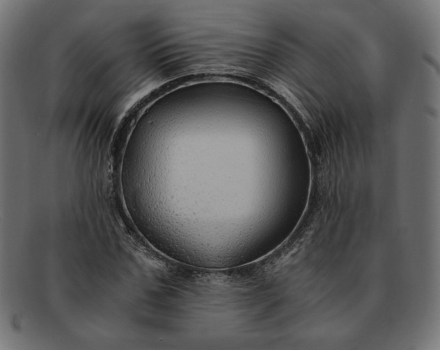 X0000091860971200709191113