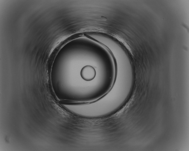 X0000091860973200709191113