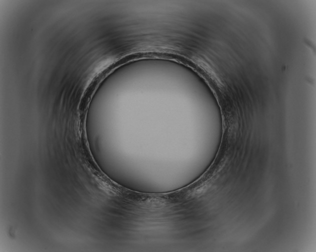 X0000091860974200709191113