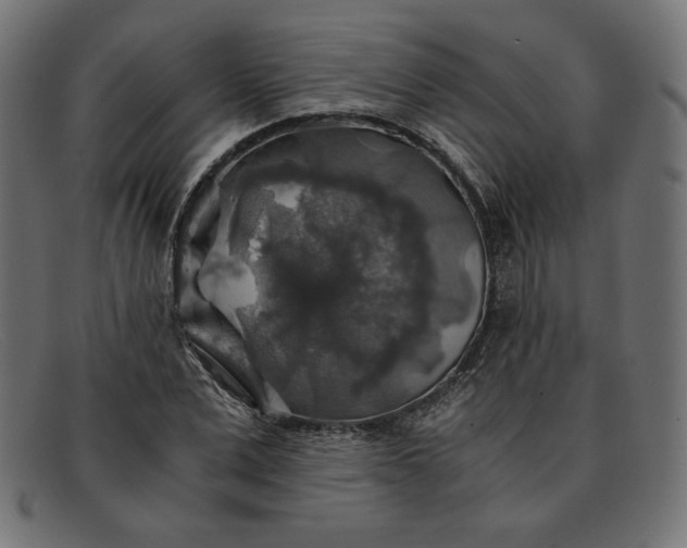 X0000091860975200709191113