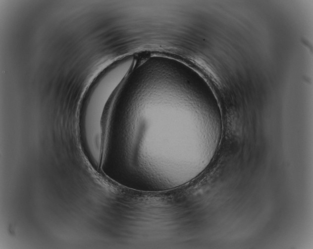 X0000091860976200709191113