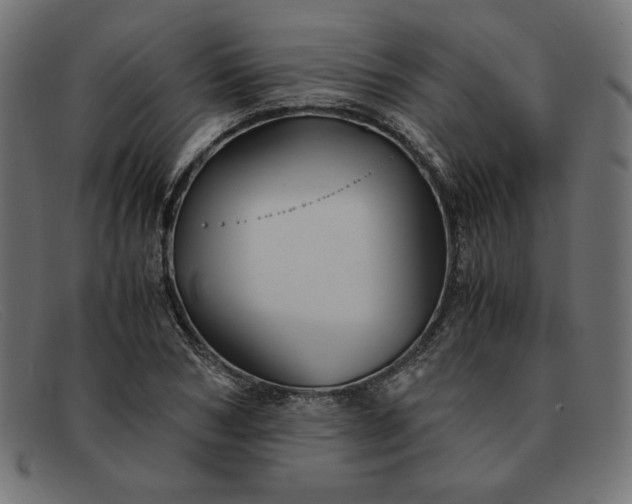 X0000091860978200709191113