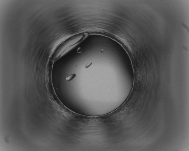 X0000091860979200709191112